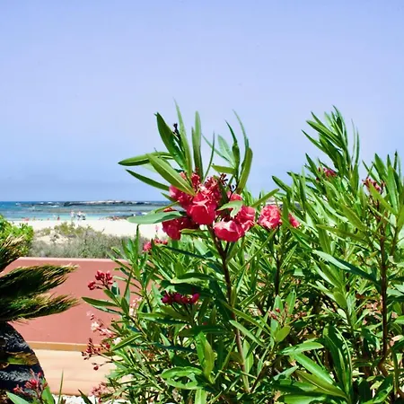 Marfolin 1 - No Stress Holidays *