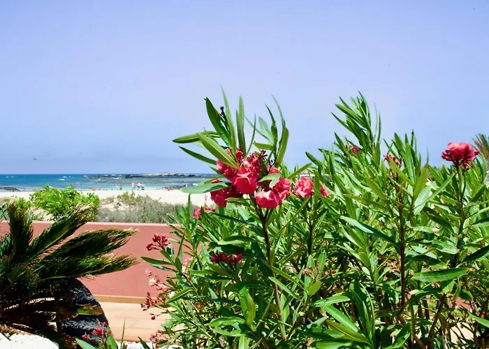 Marfolin 1 - No Stress Holidays *